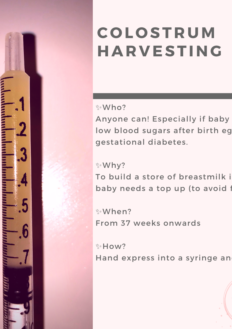 A simple guide to colostrum harvesting